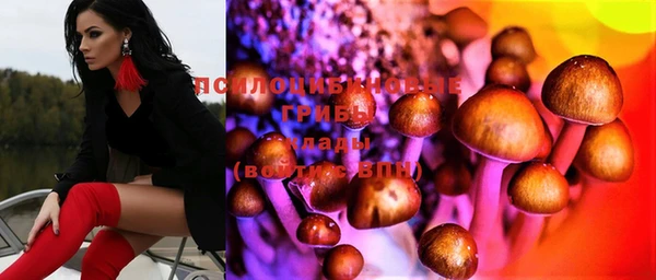 амф Вязники