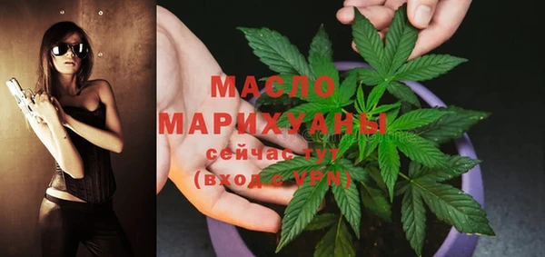 спиды Вяземский