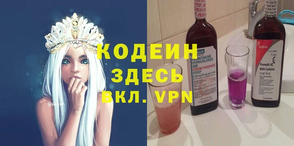 спиды Вяземский