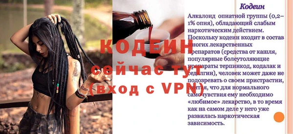 спиды Вяземский