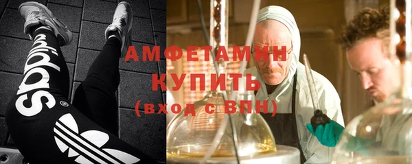 спиды Вяземский
