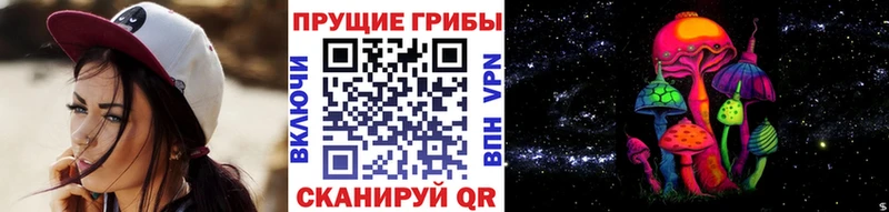 Галлюциногенные грибы прущие грибы  Димитровград 